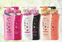 Dầu gội Ichikami